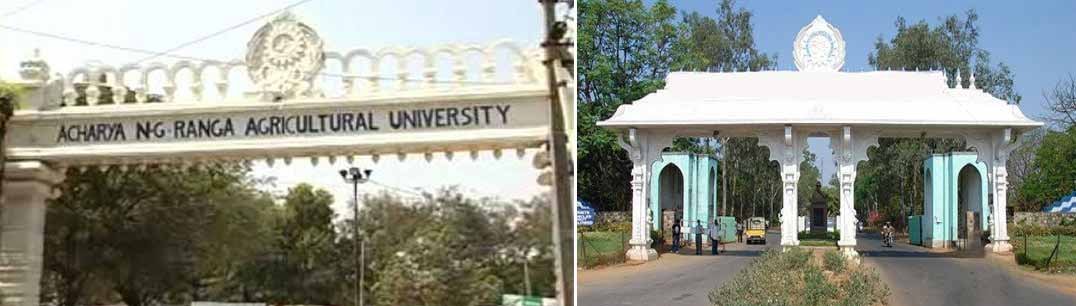 Acharya N. G. Ranga Agricultural University