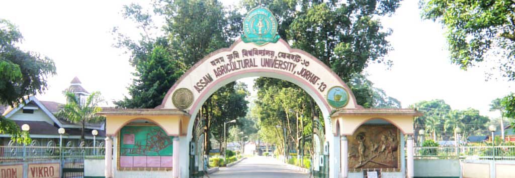 assam agricultural university