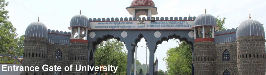 Karnataka Veterinary, Animal and Fisheries Sciences University KVAFSU Result 2025 2 Karnataka Veterinary, Animal and Fisheries Sciences University