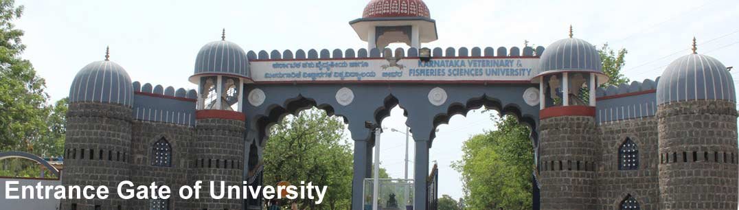 Karnataka Veterinary, Animal and Fisheries Sciences University