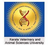 Kerala Veterinary And Animal Sciences University logo