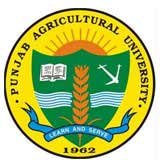 Punjab Agricultural University logo