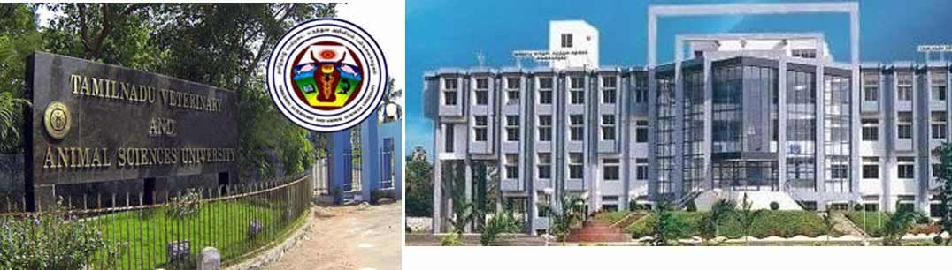 Tamil Nadu Veterinary & Animal Science University Result 2022 , , , | TANUVAS Chennai Result - Online Result Portal Tamil Nadu Veterinary & Animal Science University Result 2022 , , , | TANUVAS Chennai Result - Online Result Portal