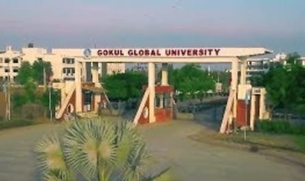 gokul global university