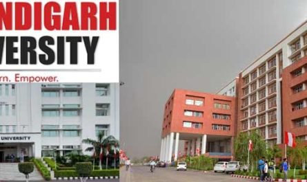 Chandigarh University