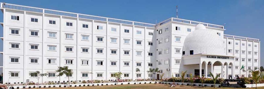 Kalinga University Raipur Results 2025 at kalingauniversity.ac.in