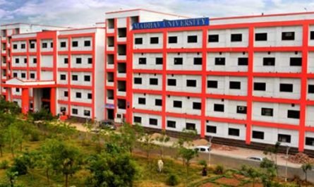 Madhav University