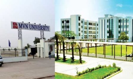 MVN University Palwal
