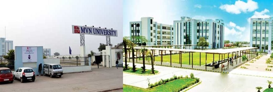 MVN University Palwal Exam Result 2025