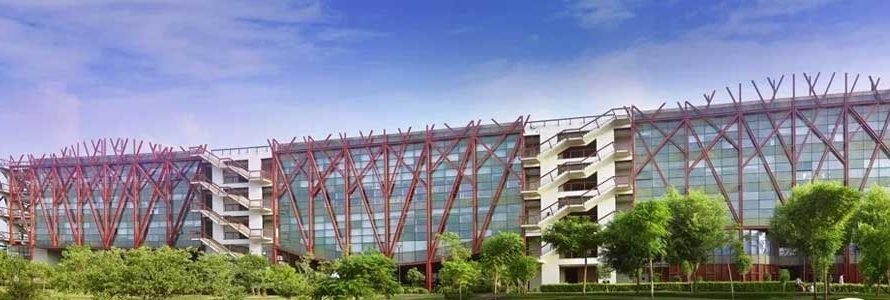 OP Jindal Global University JGU Sonipat Exam Result 2025