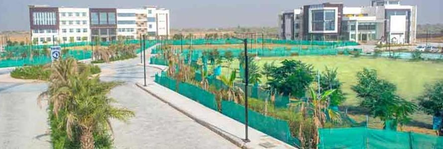 RNB Global University Bikaner Exam Result 2025