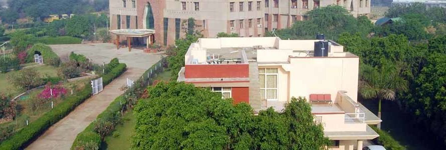 Singhania University Jhunjhunu Exam Result 2025