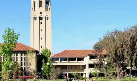 Stanford University