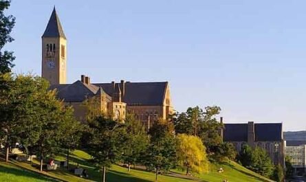 cornell university