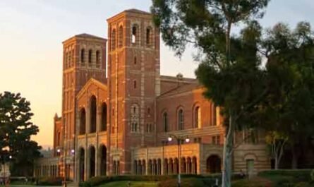 University of California Los Angeles