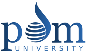 PDM-University-Bahadurgarh-logo