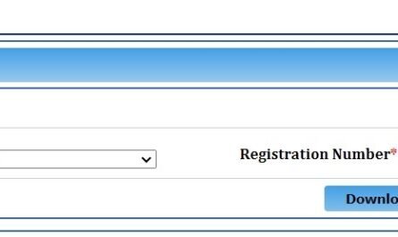NCVT ITI Certificate Download