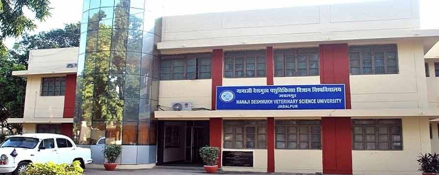 Nanaji Deshmukh Veterinary Science University Exam Result 2025