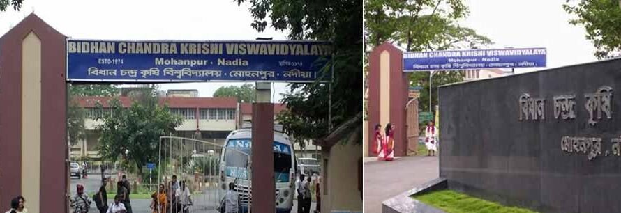 Bidhan Chandra Krishi Viswavidyalaya Result 2026 – Check Your BCKV Scores