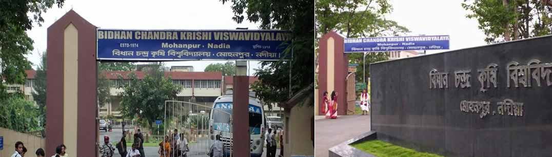 Bidhan Chandra Krishi Viswavidyalaya Exam Result 2025 2 bidhan chandra krishi viswavidyalaya