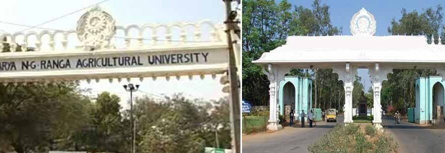 Acharya NG Ranga Agricultural University (ANGRAU) Exam Result 2025