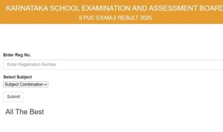 Karnataka PUC Result