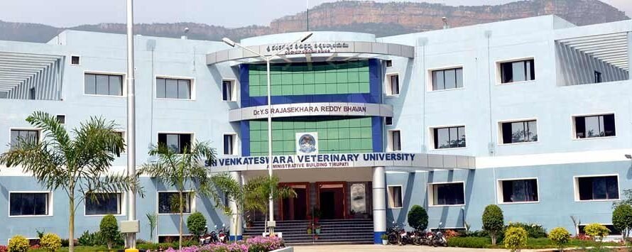 Sri Venkateswara Veterinary University Exam Result 2025